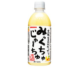 サンガリア みっくちゅじゅーちゅ 500mlペットボトル×24本入｜ 送料無料 乳酸 フルーツ ミックスジュース