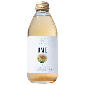 KIMINO DRINKS ߃Xp[NOW[X 250mlr×24{×(2P[X)b  Xp[NO W[X t[c ʕ