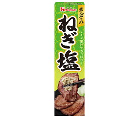 ハウス食品 きざみねぎ塩 38g×10本入×(2ケース)｜ 送料無料 のっける ペースト 味変 ネギ レモン