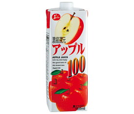 ジューシー アップル100 1L紙パック×6本入×(2ケース)｜ 送料無料 果実飲料 果汁 100% りんご アップル