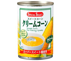 XyVZNg N[R[ 425g×24×(2P[X)b  R[ gERV N[R[ Ƃ낱