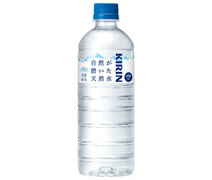 L RVR 600mlybg{g×24{b  VR  