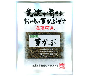 }iJt[Y CSI Y肩 10g×10ܓb   ߂ C Y H@ 킩