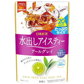 三井農林 日東紅茶 水出しアイスティー アールグレイ (4g×20袋)×20袋入×(2ケース)｜ 送料無料 水だし TB ティーバッグ 500ml