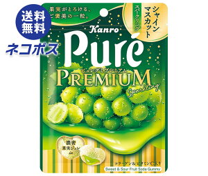 ネコポス カンロ ピュレグミプレミアム シャインマスカットスパークリング 54g×6袋入| 全国送料無料 お菓子 駄菓子 Pure ぐみ マスカット