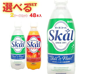南日本酪農協同 スコール 選べる2ケースセット 500mlペットボトル×48(24×2)本入| 送料無料 炭酸飲料 PET 果実 マンゴー