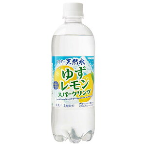 TKA ɉ̓VR 䂸Xp[NO 500mlybg{g×24{b  䂸  t[c Y_ Y_