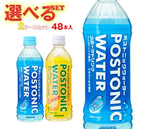 TKA |XgjbNEH[^[ Iׂ2P[XZbg 500mlybg{g×48(24×2){b  X|[chN PET MǑ΍