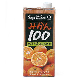 JAビバレッジ佐賀 みかん100 1L紙パック×6本入×(2ケース)｜ 送料無料 果汁 みかん オレンジジュース 100% 温州みかん