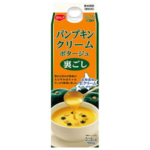 XW[^ pvLN[|^[W 900gpbN×6{b  ؈ X[v ڂ pbN Z