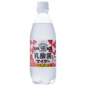 友桝飲料 乳酸菌入りサイダー 500mlペットボトル×24本入×(2ケース)｜ 送料無料 サイダー ソーダ 炭酸 スパークリング 乳酸菌