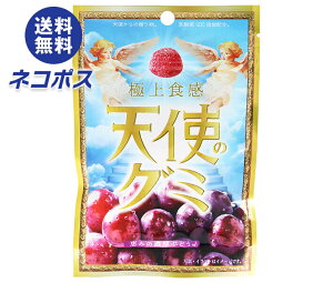 lR|X ACfApbP[W Vg̃O~ b݂̔ZԂǂ 40g×10ܓb S َq O~  O[v