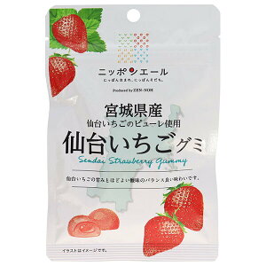 JAS_ jb|G[ {錧Y䂢 O~ 40g×10ܓ×(2P[X)b  َq O~ Y {Y S_