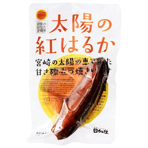  z̍g͂邩 1H×30ܓb  gg {茧Y g͂邩 ܂  HiYsgp 퉷ۑ
