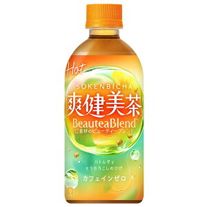 RJR[ yHOTpzu 440mlybg{g×24{b   u JtFCX HOT zbg 