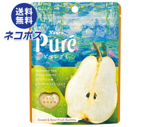 lR|X J G߂sO~ EtX 52g×6ܓb S َq Pure  miV m R[Q r^~C O~ sO~