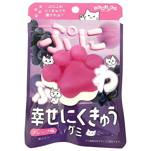 { KɂイO~ O[v 30g×6ܓb  َq O~  ʏ`  GAC ɂイO~ O[v