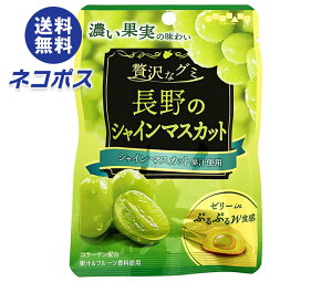 lR|X { ґȃO~ ̃VC}XJbg 34g×6ܓb S َq O~  [[ WH ʏ` 쌧Y }XJbgR[Q
