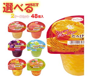  Ƃ낯閡킢 J Iׂ2P[XZbg 200g×48(24×2){b  [[ ǂ I Mtg َq  _CGbg t[c[[