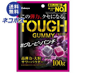 lR|X Jo ^tO~ O[s[p` 100g×6ܓb S َq O~  TOUGH e͑嗱T[