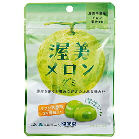 カネカ食品 渥美メロングミ ラブレ乳酸菌入 40g×10袋入｜ 送料無料 お菓子 グミ 果汁 ジュレ ラブレ乳酸菌 ラブレ 乳酸菌 チャック付き 腸内環境 メロン