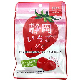 カネカ食品 静岡いちごグミ ラブレ乳酸菌入 40g×10袋入｜ 送料無料 お菓子 グミ 果汁 ジュレ ラブレ乳酸菌 ラブレ 乳酸菌 チャック付き 腸内環境 苺 いちご