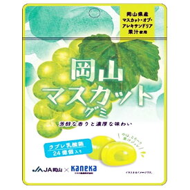カネカ食品 岡山マスカットグミ ラブレ乳酸菌入 40g×10袋入×(2ケース)｜ 送料無料 お菓子 グミ 果汁 ジュレ ラブレ乳酸菌 ラブレ 乳酸菌 チャック付き 腸内環境 マスカット