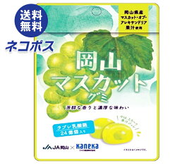 ネコポス カネカ食品 岡山マスカットグミ ラブレ乳酸菌入 40g×10袋入｜ 全国送料無料 お菓子 グミ 果汁 ジュレ ラブレ乳酸菌 ラブレ 乳酸菌 チャック付き 腸内環境 マスカット