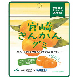 カネカ食品 宮崎きんかんグミ ラブレ乳酸菌入 40g×10袋入｜ 送料無料 お菓子 グミ 果汁 ジュレ ラブレ乳酸菌 ラブレ 乳酸菌 チャック付き 腸内環境 金柑 キンカン