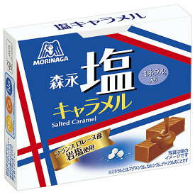 森永製菓 塩キャラメル 12粒×10個入×(2ケース)｜ 送料無料 お菓子 キャラメル 箱