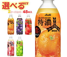 アサヒ飲料 三ツ矢 特濃シリーズ 選べる2ケースセット 500mlペットボトル×48(24×2)本入｜ 送料無料 よりどり 選り取り 炭酸 三ツ矢 フルーツ ギフト