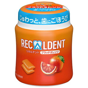 リカルデント ボトル」の人気商品一覧・価格比較 - 価格.com