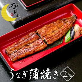 うなぎ蒲焼き（大） 150g×2尾 静岡県産 冷凍 国産 贅沢 割烹の味 乃月 のづき 名物料理