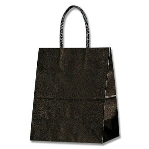 ܁@񂰑܁@X[XobO@22-12@ni25j@220×}`120×265mm