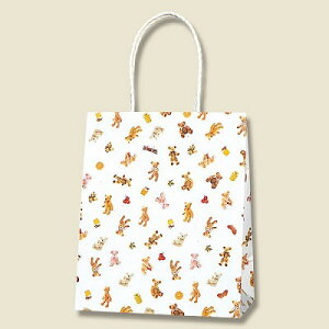 ܁@񂰑܁@PX[XobO@22-12@v`xAi25j@220×}`120×265mm