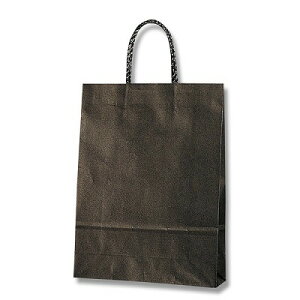 ܁@񂰑܁@X[XobO@S-100@ni25j@260×}`100×360mm