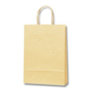 ܁@񂰑܁@X[XobO@S-100@i`i25j@260×}`100×360mm