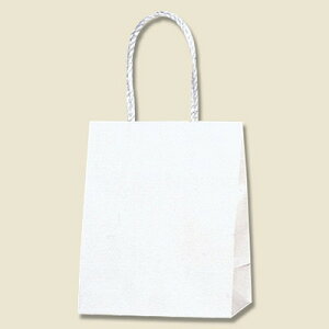 紙袋 手提げ袋 スムースバッグ 16-09 白無地(25枚) 幅160×マチ90×高195mm