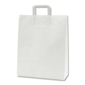 手提げ紙袋 25CB 2才(平手)晒白無地(50枚) 幅320×マチ115×高400mm 25チャームバッグ