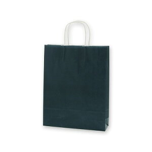 手提げ紙袋 25CB MS1 藍(50枚) 幅270×マチ80×高340mm A4サイズの収納に最適 25チャームバッグ