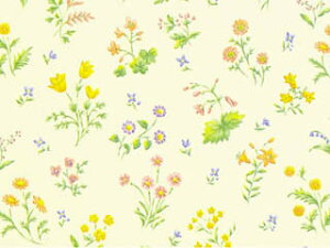 @ˁ@IlXgi100j@750×528mm@ԕ@@v[g@Mtg