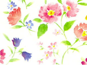 @ˁ@ԂÂi100j@750×528mm@i@ԕ@@Mtg