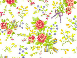 @ˁ@IrAi100j@757×530mm@i@ԕ@@o@Mtg