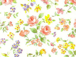 @ˁ@}lXNi100j@757×530mm@i@ԕ@@Mtg