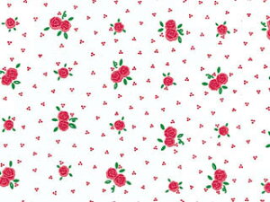 @ˁ@w[Yi100j@757×530mm@ԕ@@Ԃo@v[g@Mtg