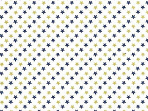 @ˁ@X^[i100j@757×530mm@@@Mtg