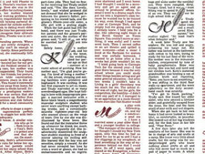 @ˁ@@tFU[CjVi200j@757×530mm@p@@Mtg