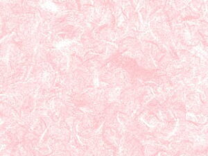 @ˁ@_sNi100j@757×530mm@a@@Mtg