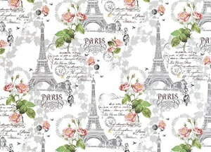 @ˁ@BA[Yi50j@750×528mm@t@V[@킢@@v[g@Mtg