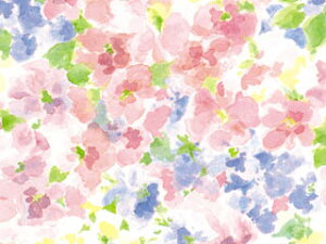 ����@���ˁ@�A���o�i50���j�@750×528mm�@�ԕ��@��i�@�؂₩�@�p�X�e���@�M�t�g���